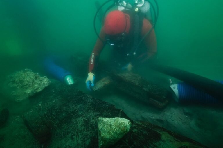The Discovery of a Shipwreck Off the Coast of Egypt Has Finally Vindicated an Ancient Greek Historian