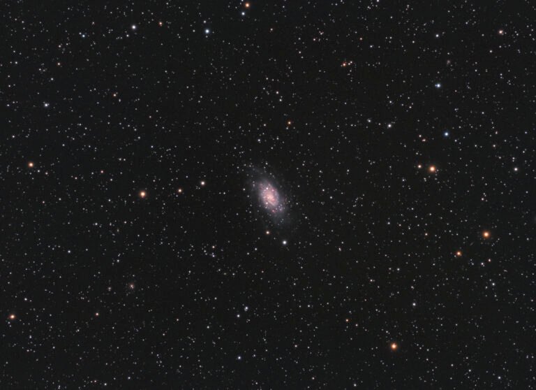 Amateur astronomer captures NGC 2403 galaxy