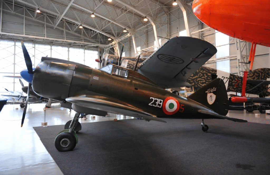 The Reggiane Re.2002 Ariete: Italy's Most-Produced Fighter