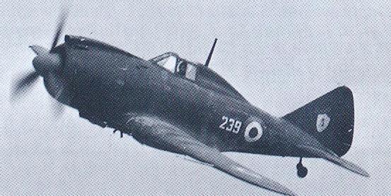 The Reggiane Re.2002 Ariete: Italian Fighter