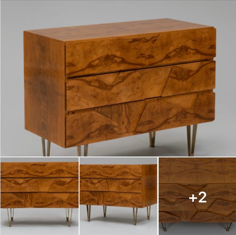Olive Wood Chest of Drawers by Gio Ponti, 1950s