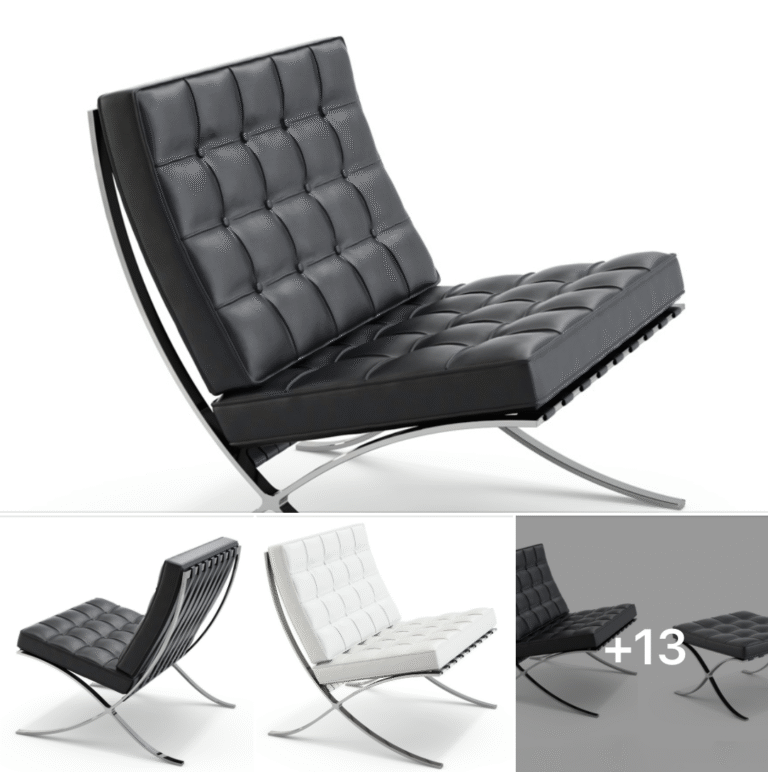 Barcelona Chair by Mies van der Rohe, 1929