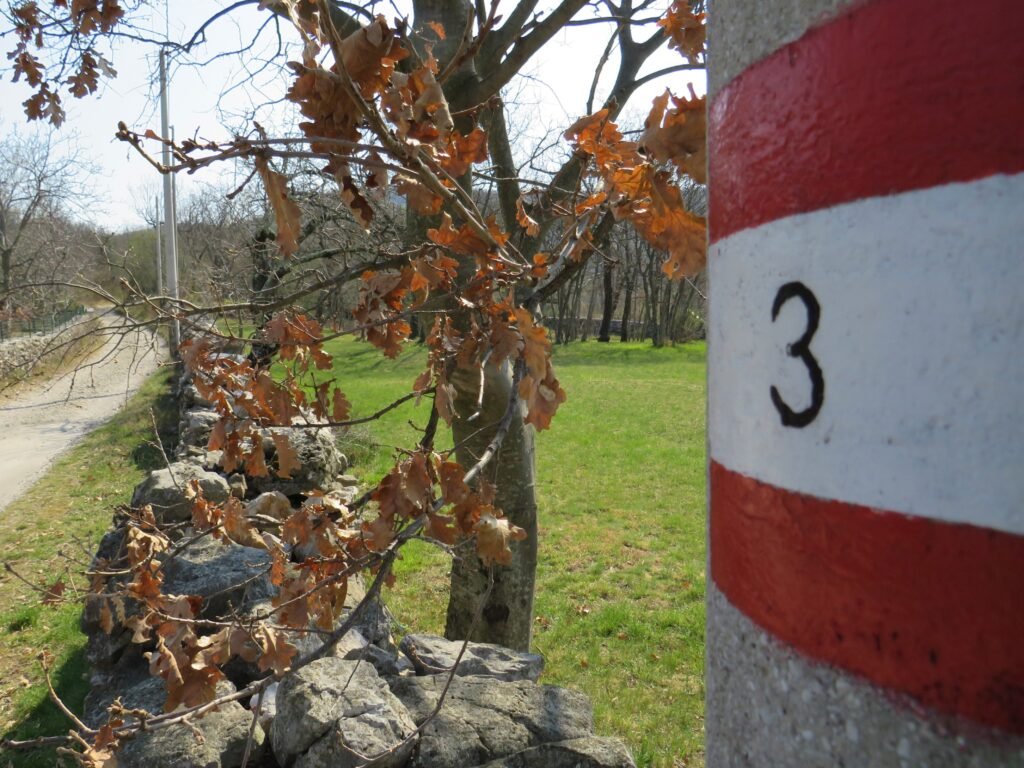 Monte Ermada: War Scars and Austro-Hungarian Legacies