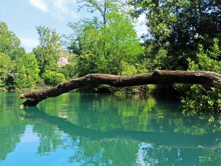 The Timavo: Italy’s Shortest River and Underground Mystery