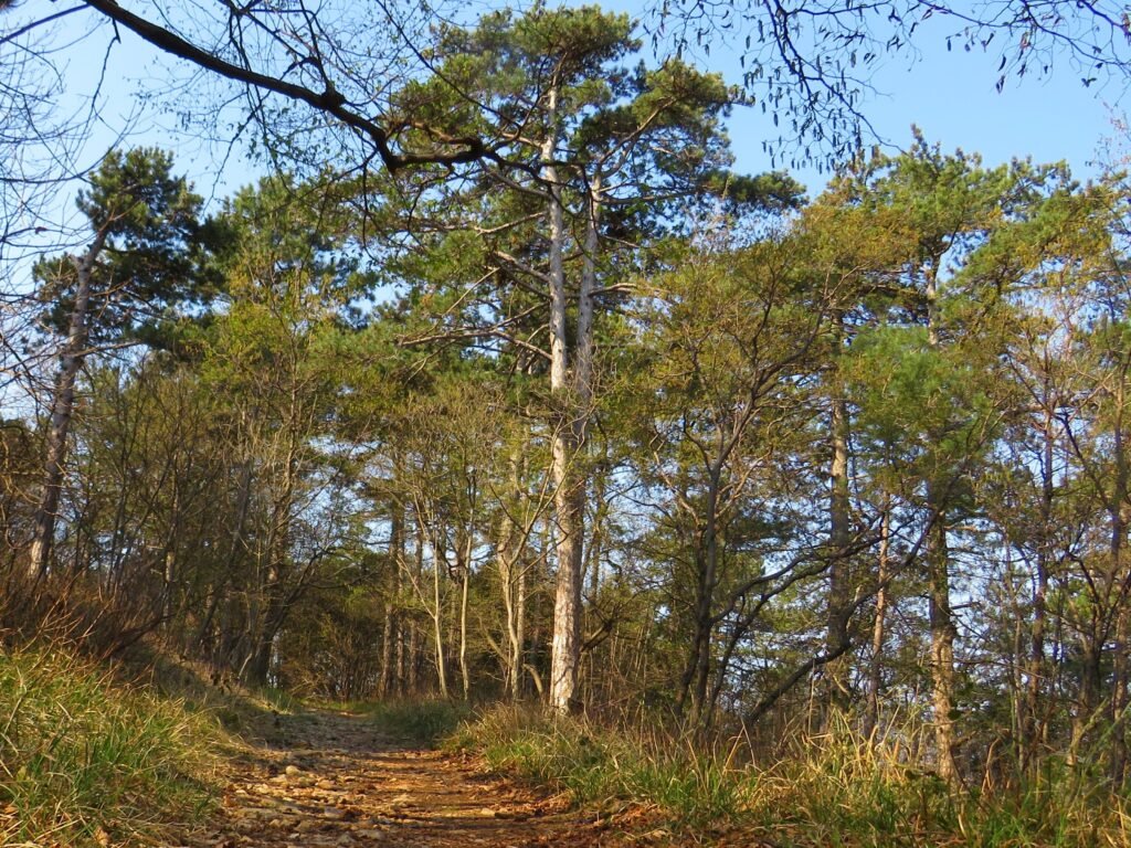 Secret Carso: Trekking Routes Between Duino and Aurisina