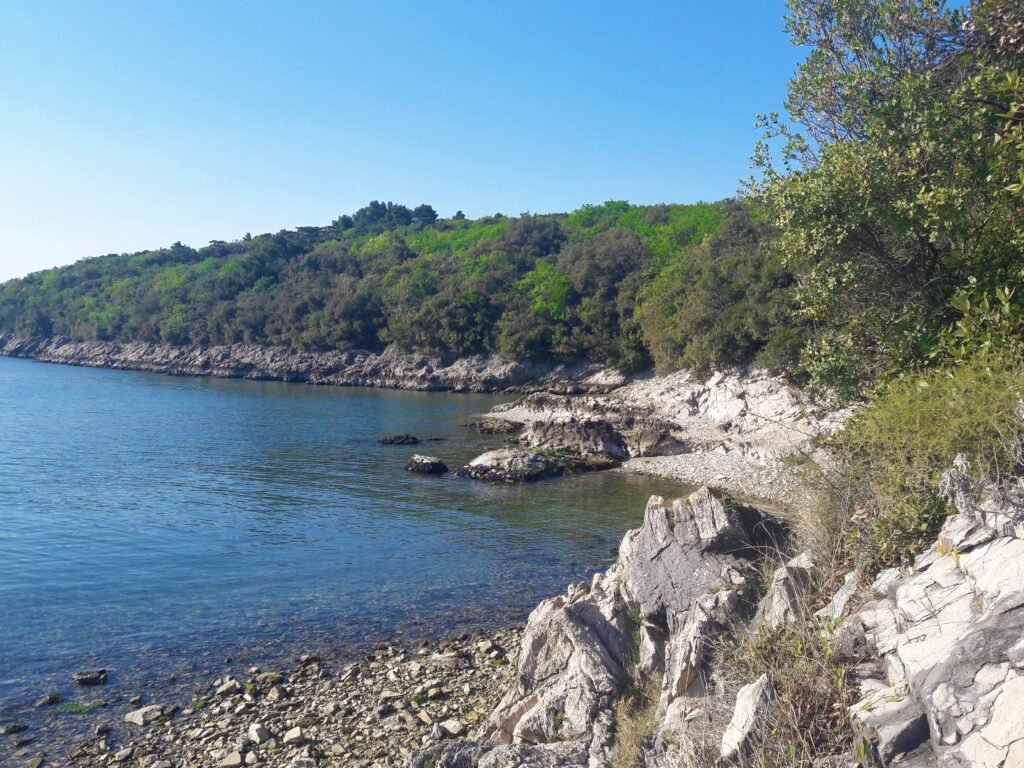 Cernizza Wood and Fioravante Grotto: Duino's Natural Heritage