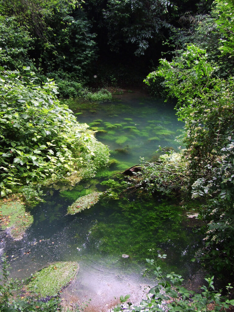 The Timavo River: Karst Springs & Ancient History
