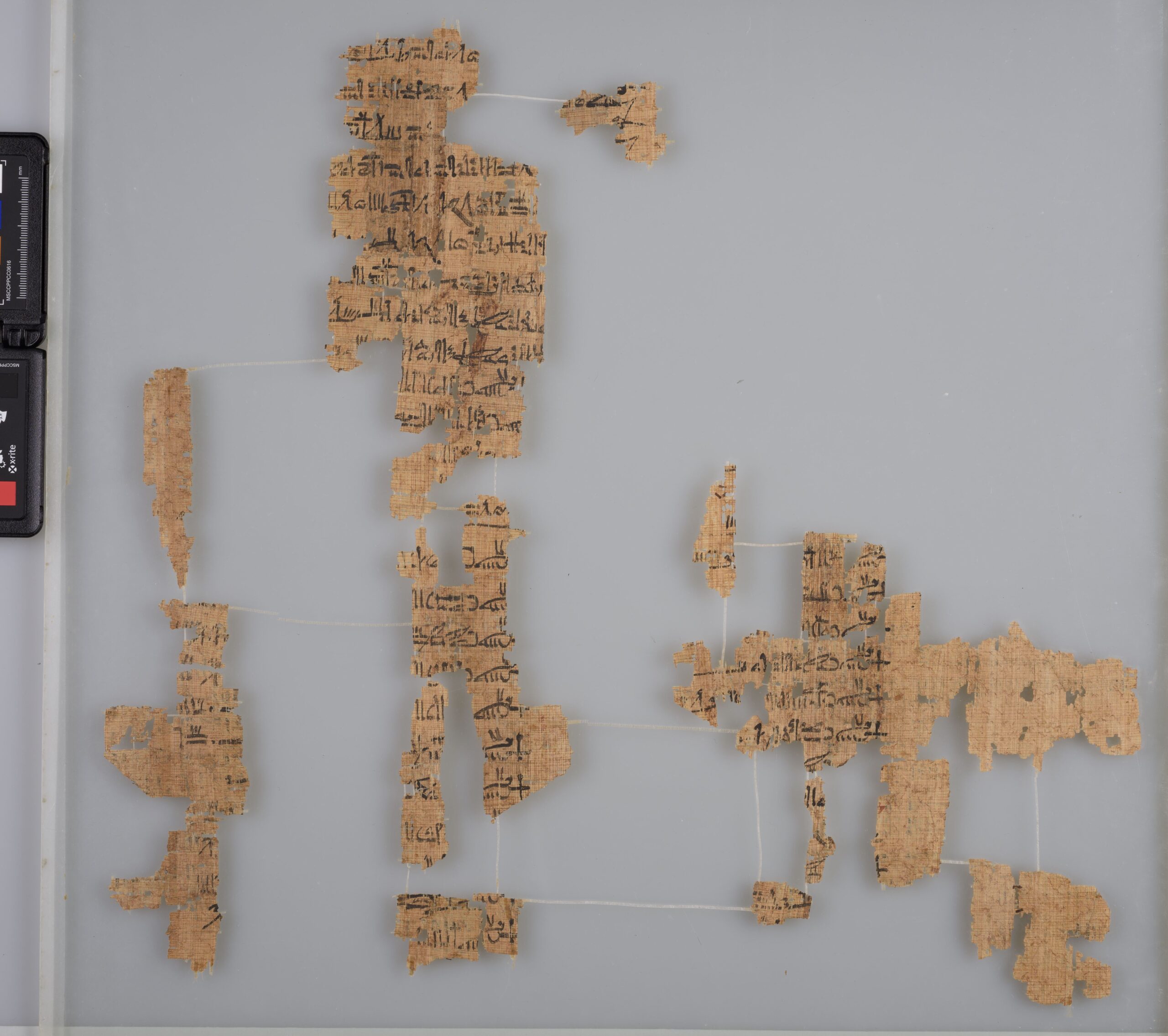 Detail of the Turin Royal Canon papyrus listing kings of Egypt