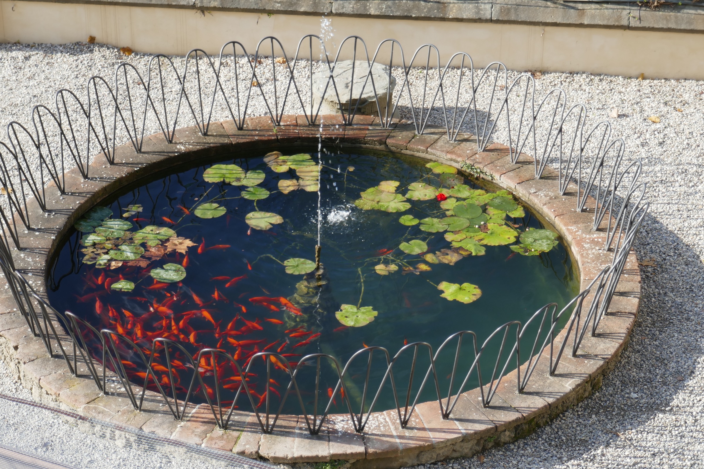 Ornamental pond with goldfish in the lower terrace of the Rose Garden, Florence