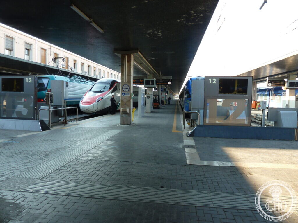 Station platforms under canopies with a white high-speed train and a blue regional train at numbered tracks