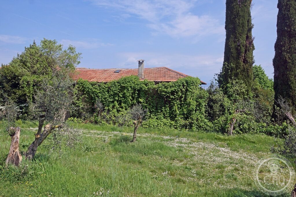Garda Lake — via Wikimedia Commons
