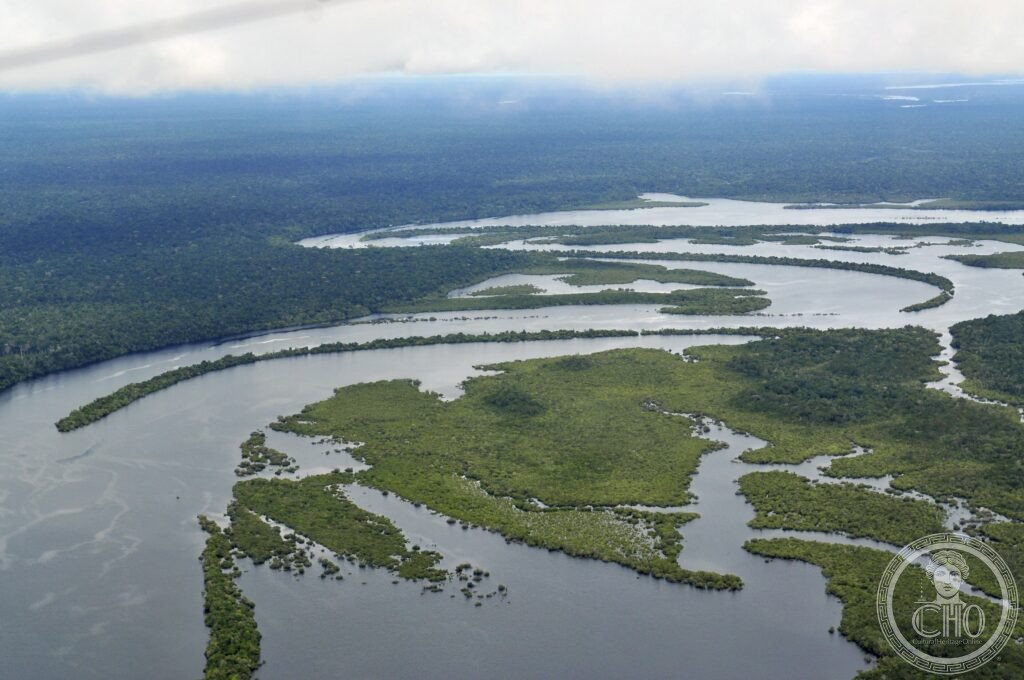 Amazon Rainforest Brazil biodiversity river UNESCO World Heritage tropical forest