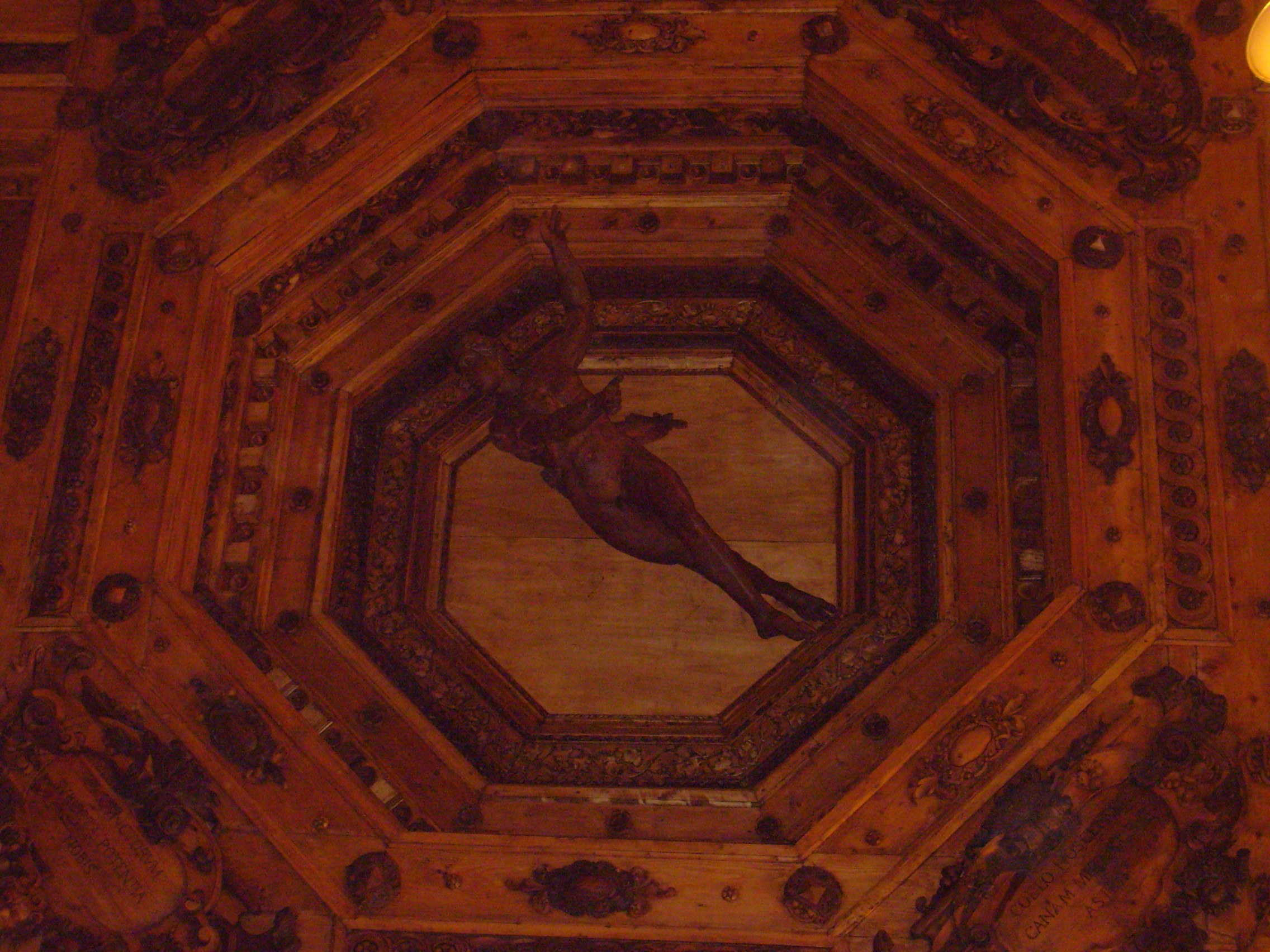 Anatomical theatre (the statue of Apollo on the ceiling), Palazzo dell’Archiginnasio, Bologna, Italy