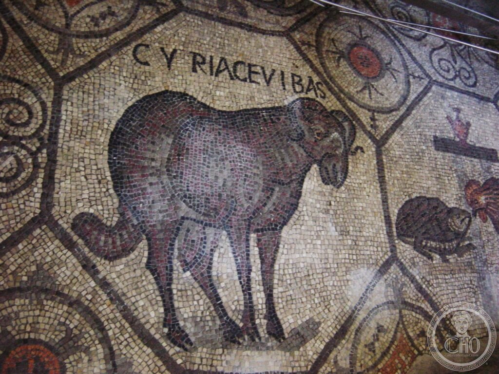 Patriarch's basilica, Aquileia. Excavations: 4th century mosaic of a ram. P