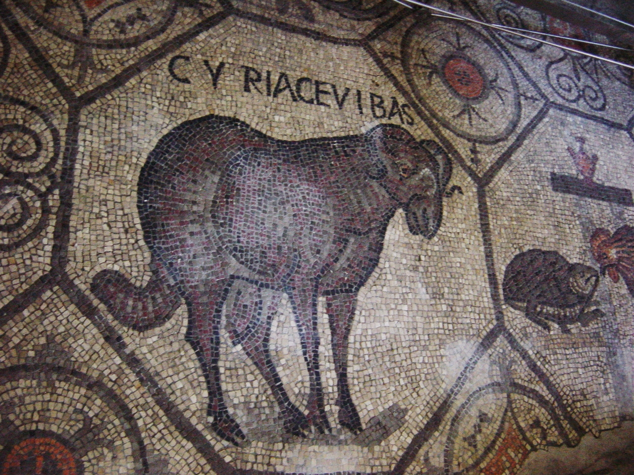 Patriarch's basilica, Aquileia. Excavations: 4th century mosaic of a ram. Picture by Giovanni Dall'Orto, July 2005.