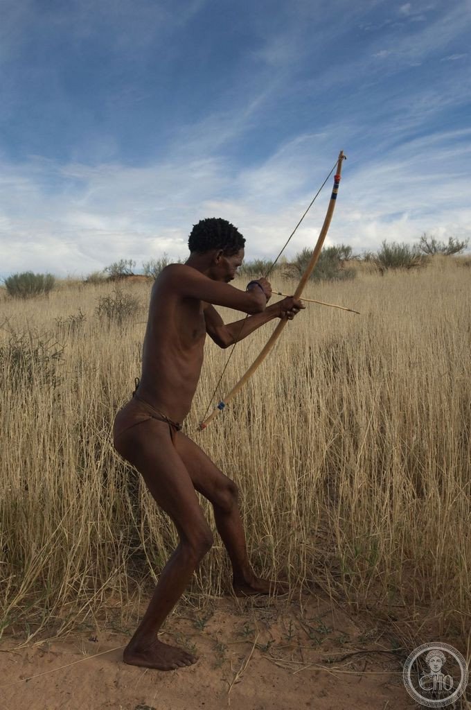 San Bushman with a traditional bow in the Northern Cape Kalahari, South Africa — a member of the ǀKhomani San, one of the oldest human cultures on Earth