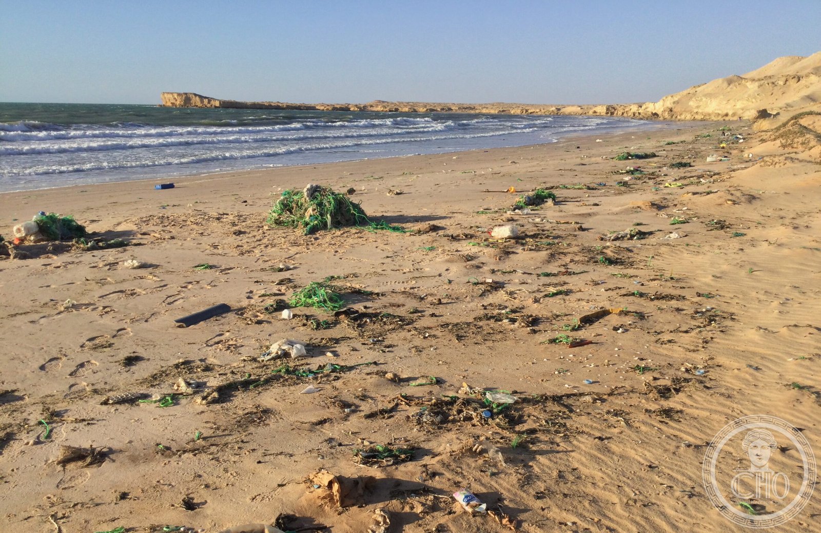 Cap Tagarit on the Atlantic coast of Mauritania within the Banc d'Arguin National Park — where the Sahara meets the sea: low sandy headlands, vast tidal flats and offshore banks that host one of the world's largest concentrations of migratory shorebirds