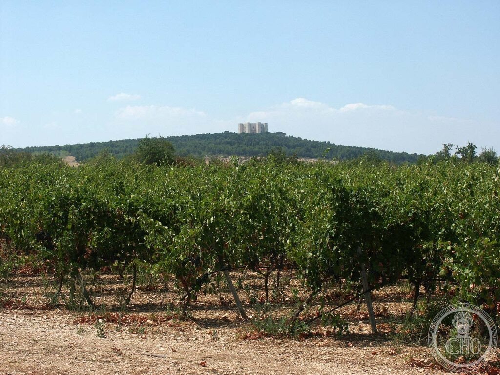 Castel del Monte von weitem.