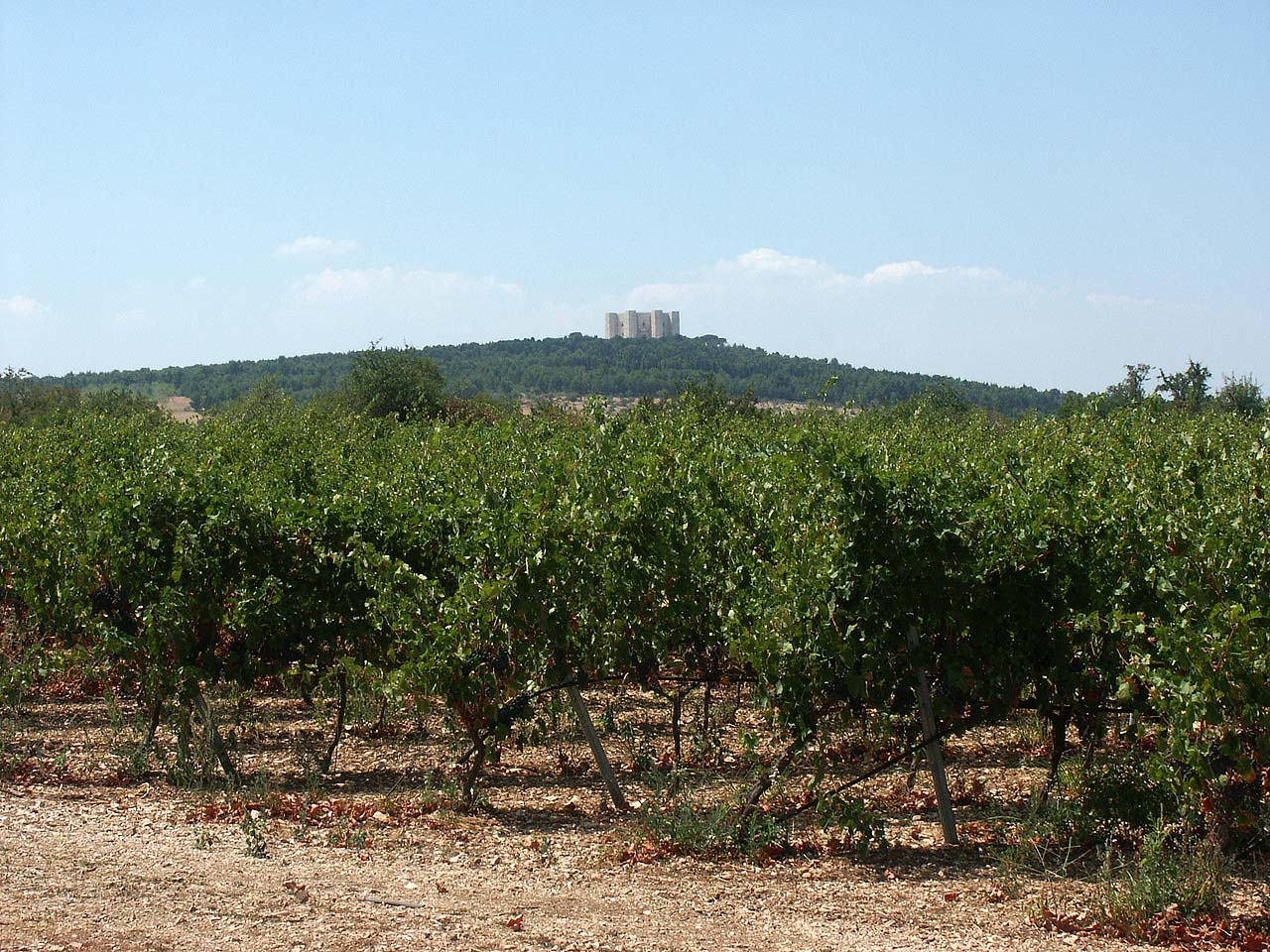 Castel del Monte von weitem.