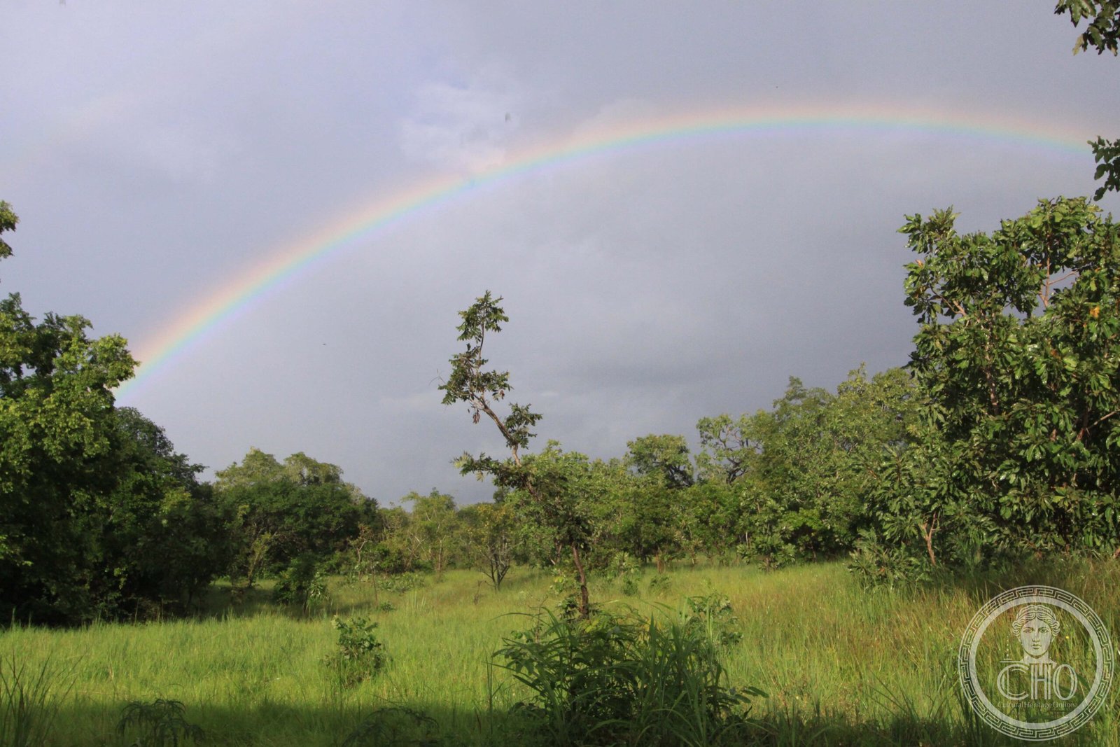 Savannah landscape of Comoé National Park, Côte d'Ivoire — the largest national park in West Africa, with a mosaic of riverine forest, gallery forest, woodland and open grassland supporting lions, leopards, hippos and chimpanzees