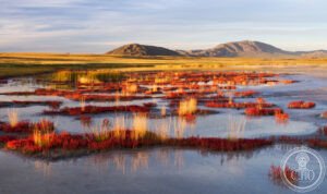 Il Bacino di Uvs Nuur (Ubsunur Hollow) (Russia/Mongolia)