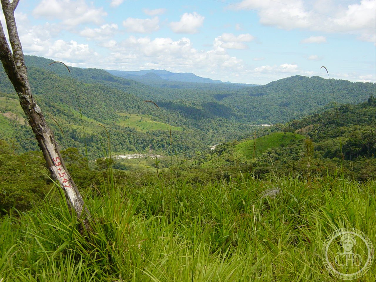 Dramatic Andean landscape of Sangay National Park, Ecuador — cloud forest and páramo moorland below volcanic peaks on the eastern Andes slope