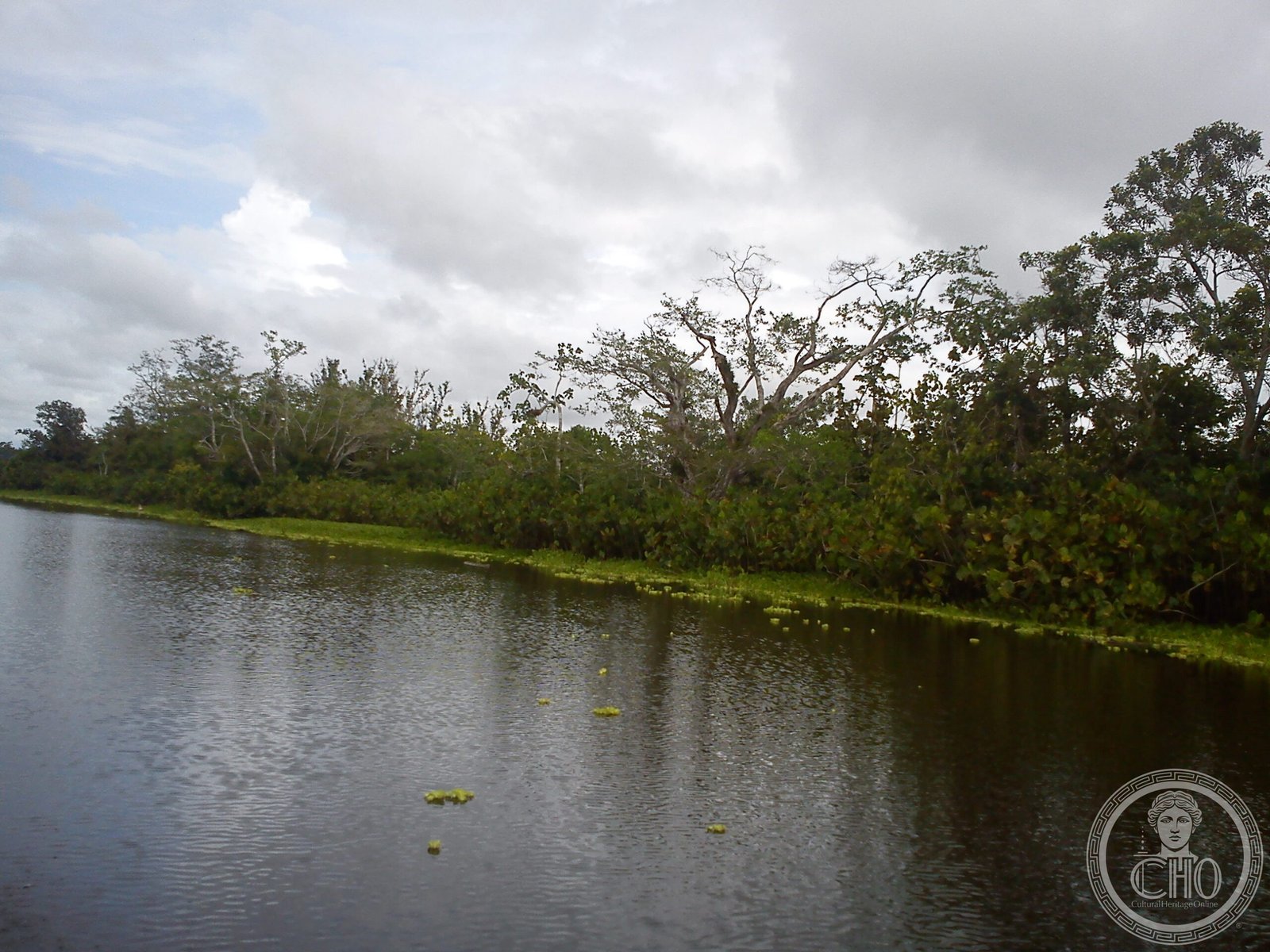 River entrance through the lowland forest of Los Katíos National Park in the Colombian Chocó, at the border of Panama — one of the most biodiverse tropical forests on Earth, home to Baird's tapir, jaguar and dozens of endemic bird species