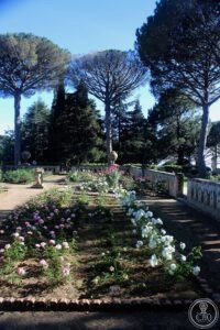 File:Cimbrone rosaleda 08.jpg