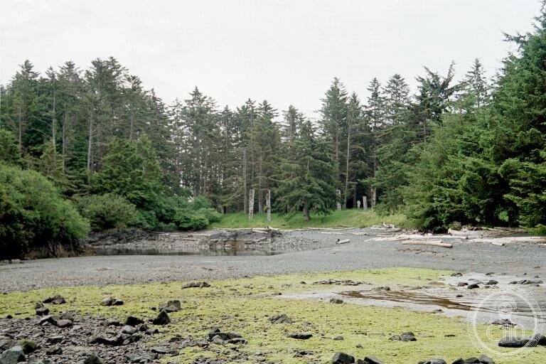 Haida village site at SGang Gwaay (Ninstints), Anthony Island, Haida Gwaii, British Columbia, Canada — the world's largest collection of standing in-situ totem and mortuary poles, a UNESCO World Heritage Site since 1981