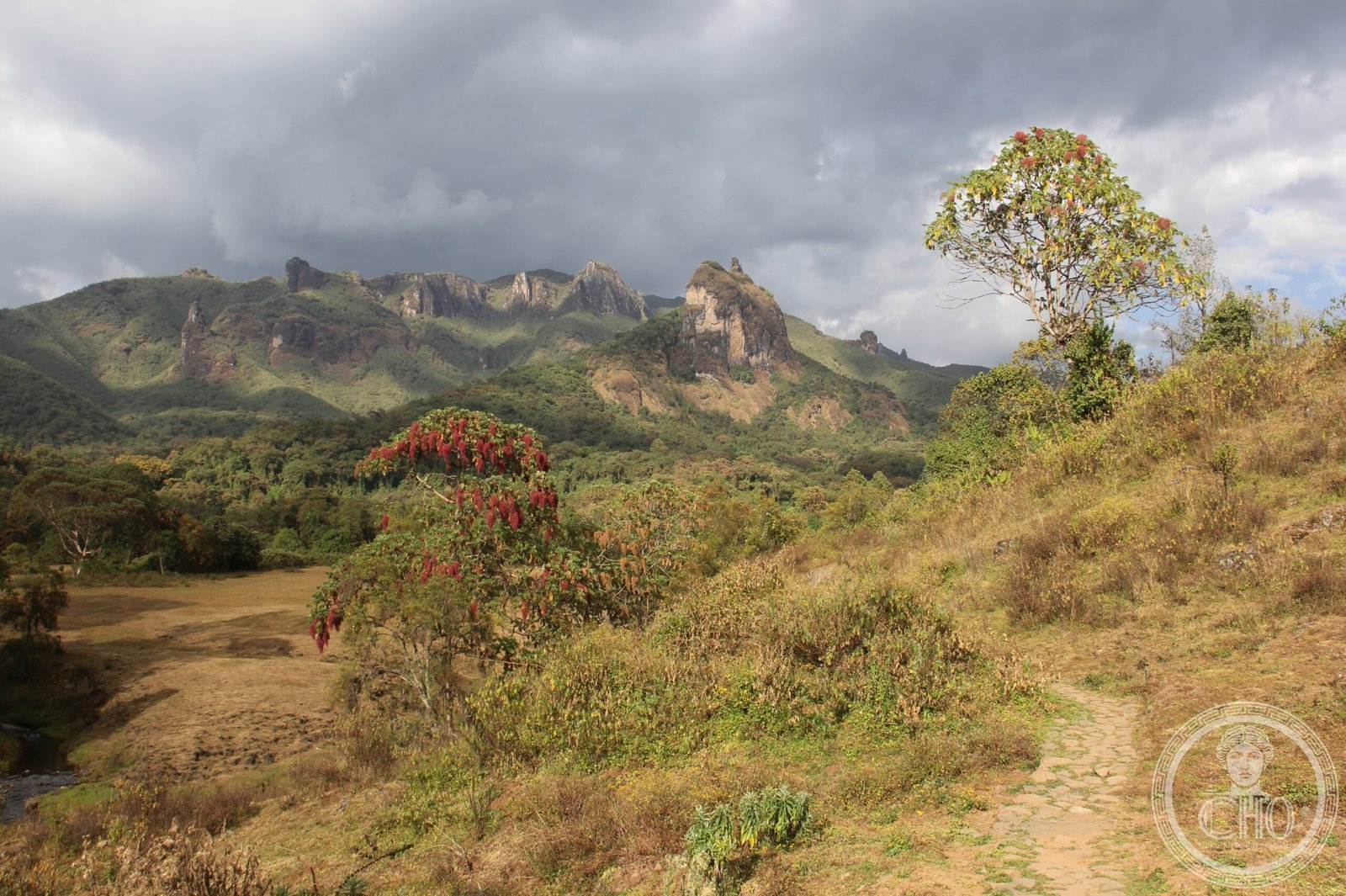 Harenna Forest in Bale Mountains National Park, Ethiopia — Afroalpine moorland and cloud forest habitat for the Ethiopian wolf, mountain nyala and gelada baboon in the largest contiguous Afroalpine ecosystem in Africa