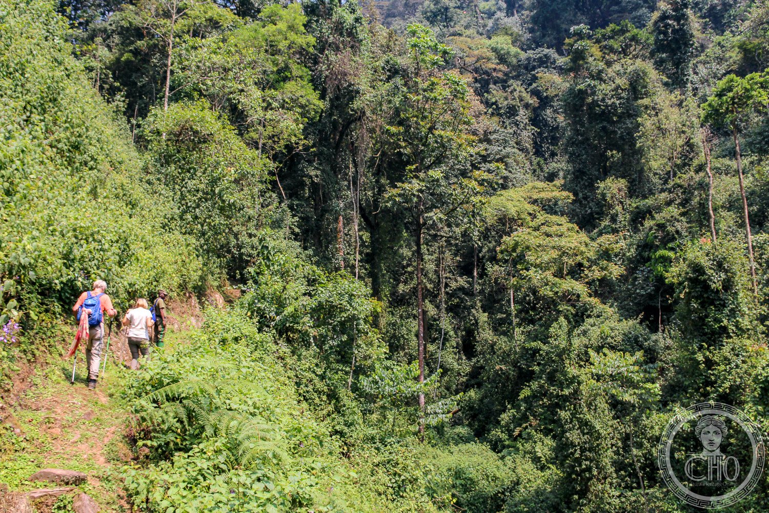 Escursionisti nella foresta di Nyungwe, Parco Nazionale del Ruanda