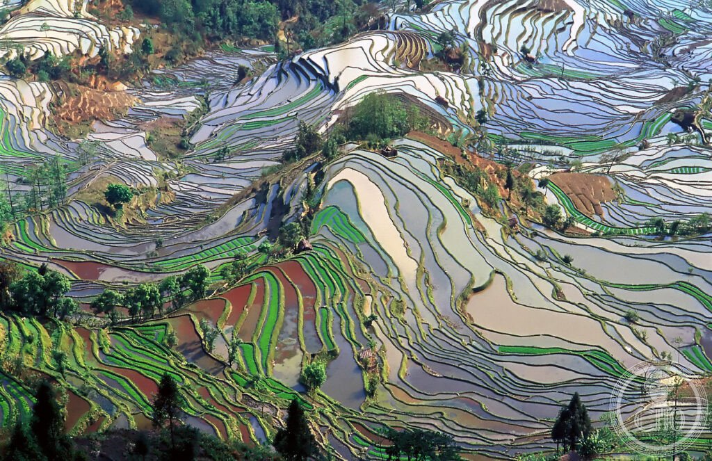 Honghe Hani Rice Terraces China Yunnan terraced hills water mirror sky reflection UNESCO