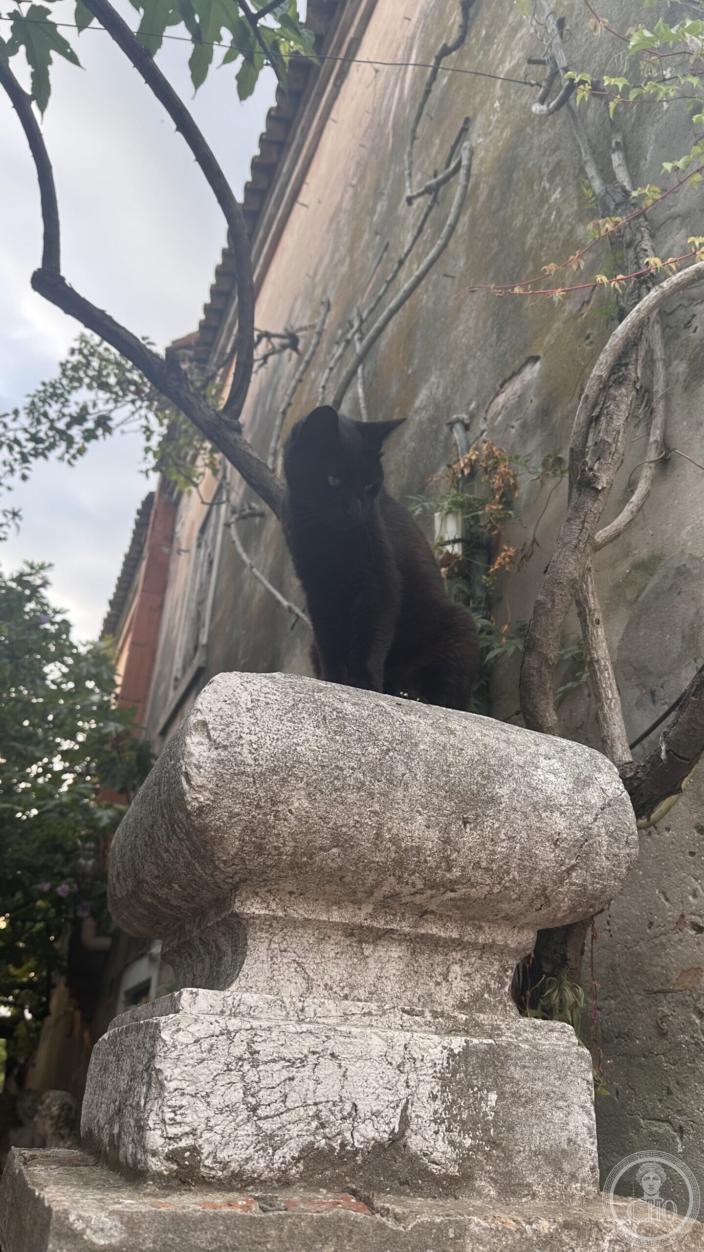 A black cat on a carved stone fragment at Torcello