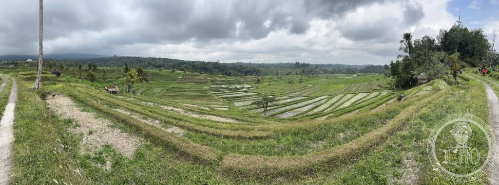 Jatiluwih rice terraces Bali Subak irrigation system Ubud Tabanan Indonesia UNESCO World Heritage cultural landscape