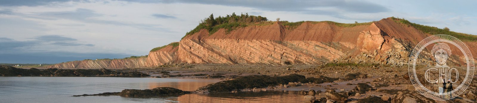 Le scogliere sedimentarie di Joggins con i tronchi fossili del Carbonifero, Nova Scotia