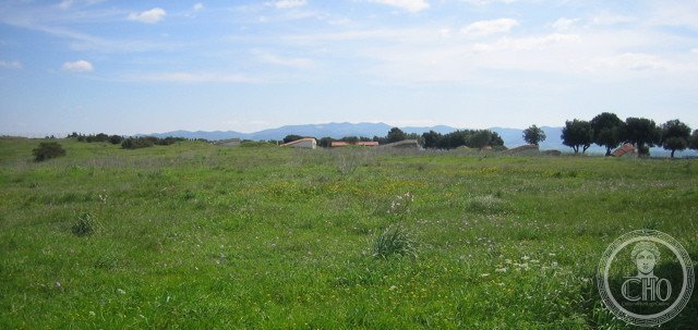 Necropolis of Tarquinia — via Wikimedia Commons