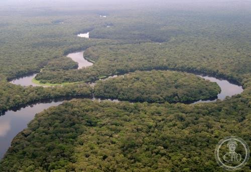 The Lulilaka River flowing through Salonga National Park, Democratic Republic of Congo — the largest protected tropical rainforest in Africa and the only known wild habitat of the bonobo (Pan paniscus)