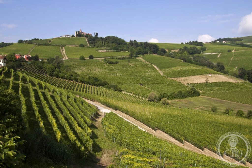 Langhe Piedmont wine landscape rolling hills Nebbiolo Barolo Barbaresco harvest autumn vineyard UNESCO 2014