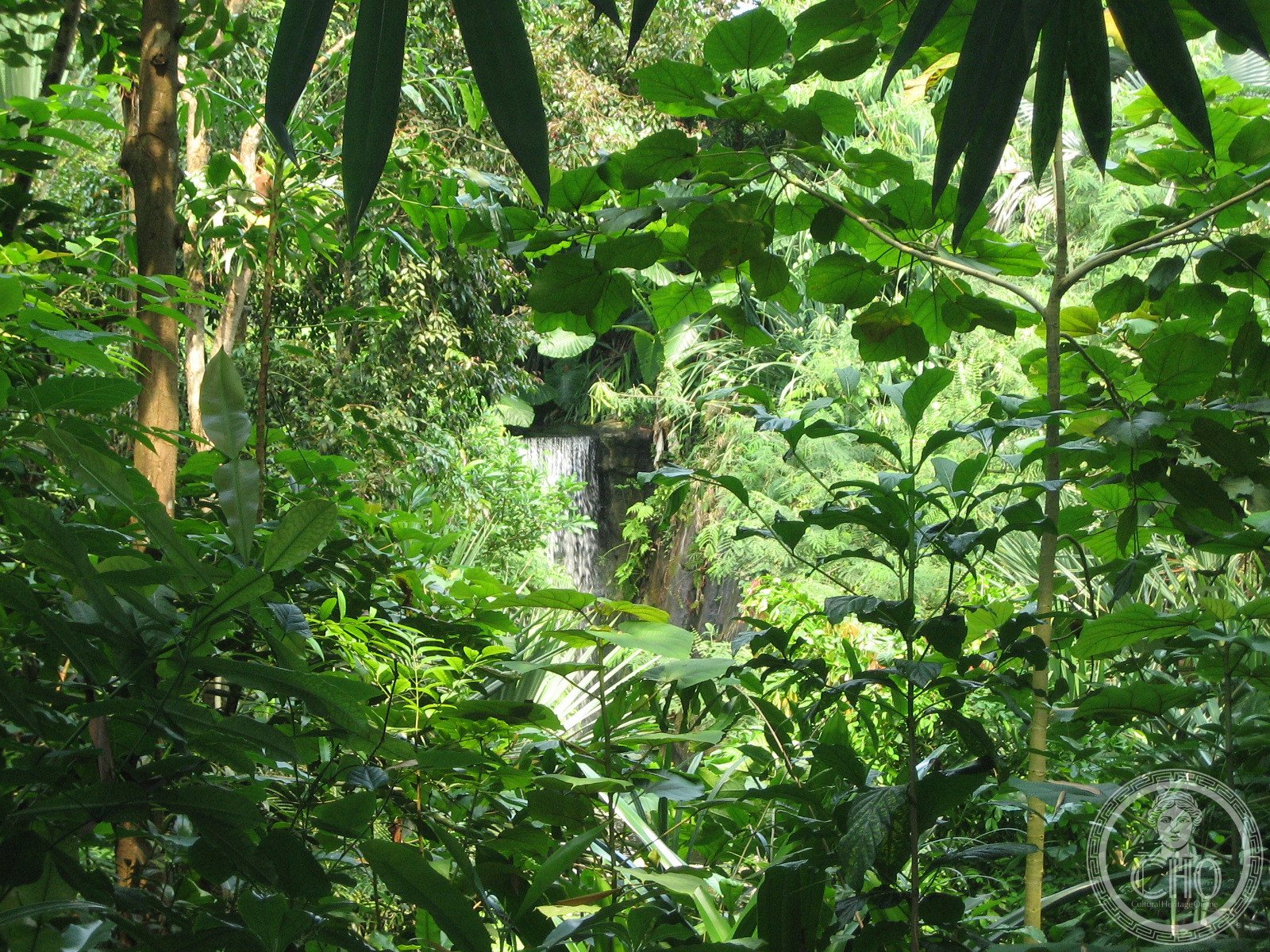 Una cascata nella foresta pluviale del Massiccio di Masoala, Madagascar