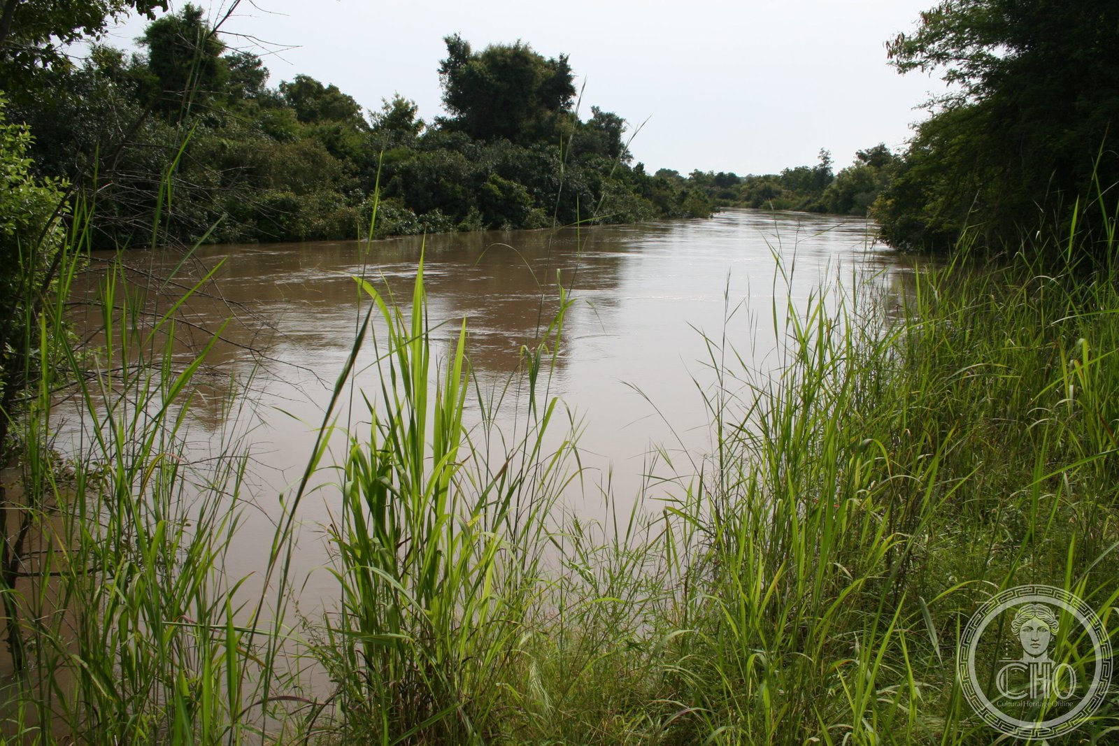 The Mekrou River flowing through W National Park at the triple border of Niger, Benin and Burkina Faso — a trans-boundary biosphere reserve with lions, elephants, hippos and rare painted hunting dogs