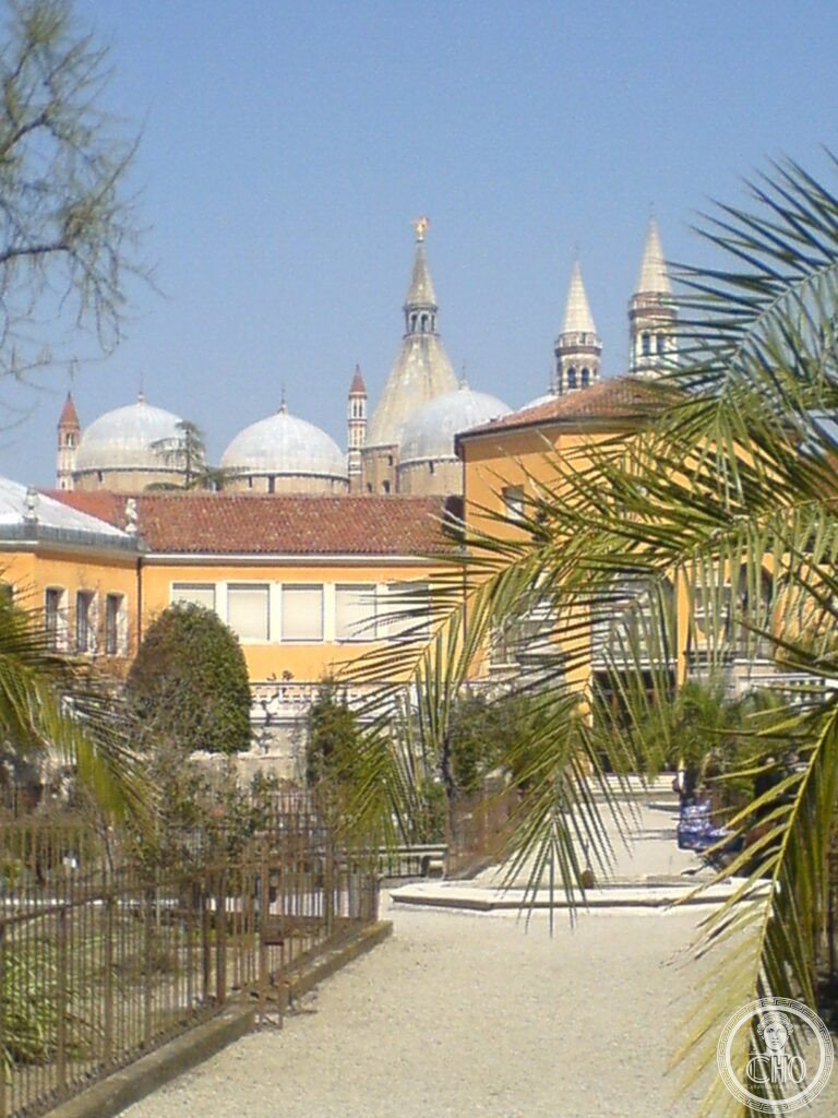 Orto Botanico Padova botanical garden 1545 oldest scientific garden world Goethe Palm Venetian Republic UNESCO 1997