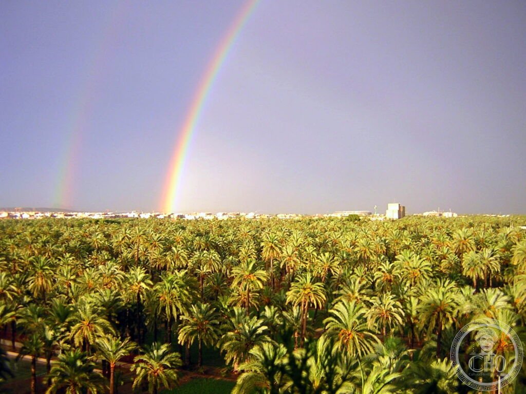 Palmeral of Elche Spain date palm grove Alicante Islamic irrigation huerto del cura UNESCO World Heritage Mediterranean