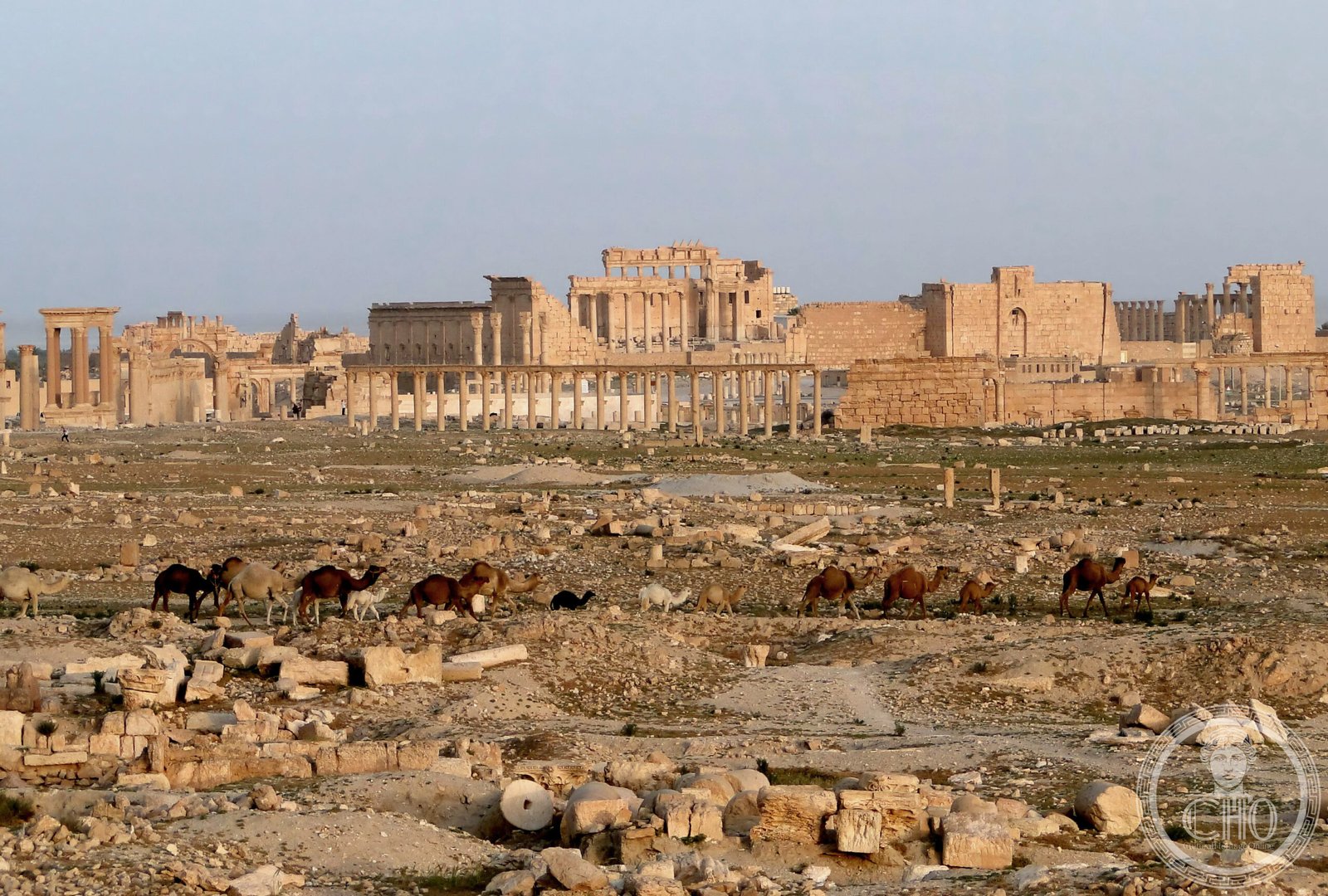 Palmyra, a UNESCO World Heritage Site in Syria
