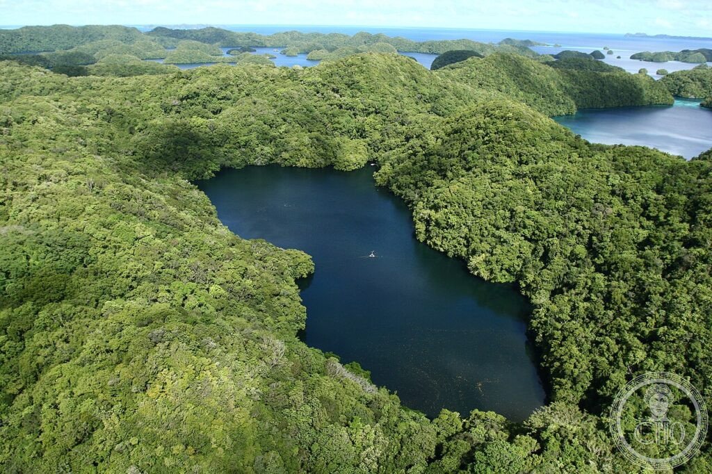 Rock Islands Palau Southern Lagoon aerial mushroom islands coral UNESCO World Heritage