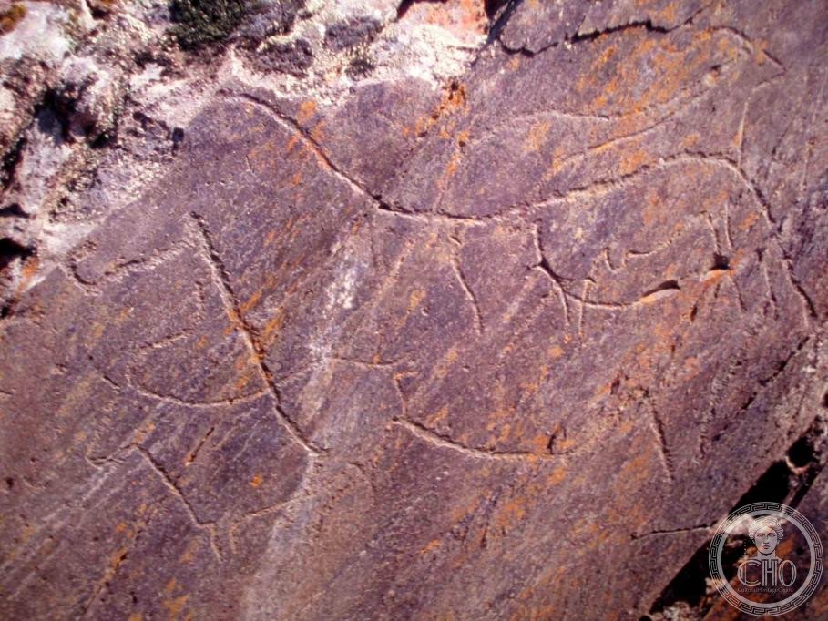 Palaeolithic rock engravings at Foz Coa, Portugal — horse figures incised in schist, c. 22000-10000 BCE