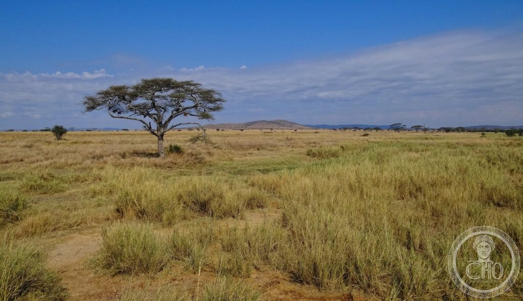 Serengeti Tanzania Great Migration wildebeest UNESCO World Heritage national park Africa