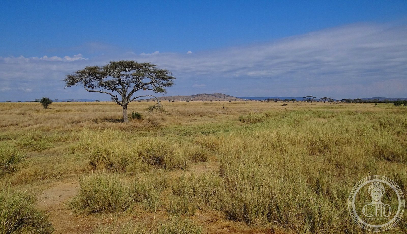 Serengeti National Park, a UNESCO World Heritage Site in Tanzania