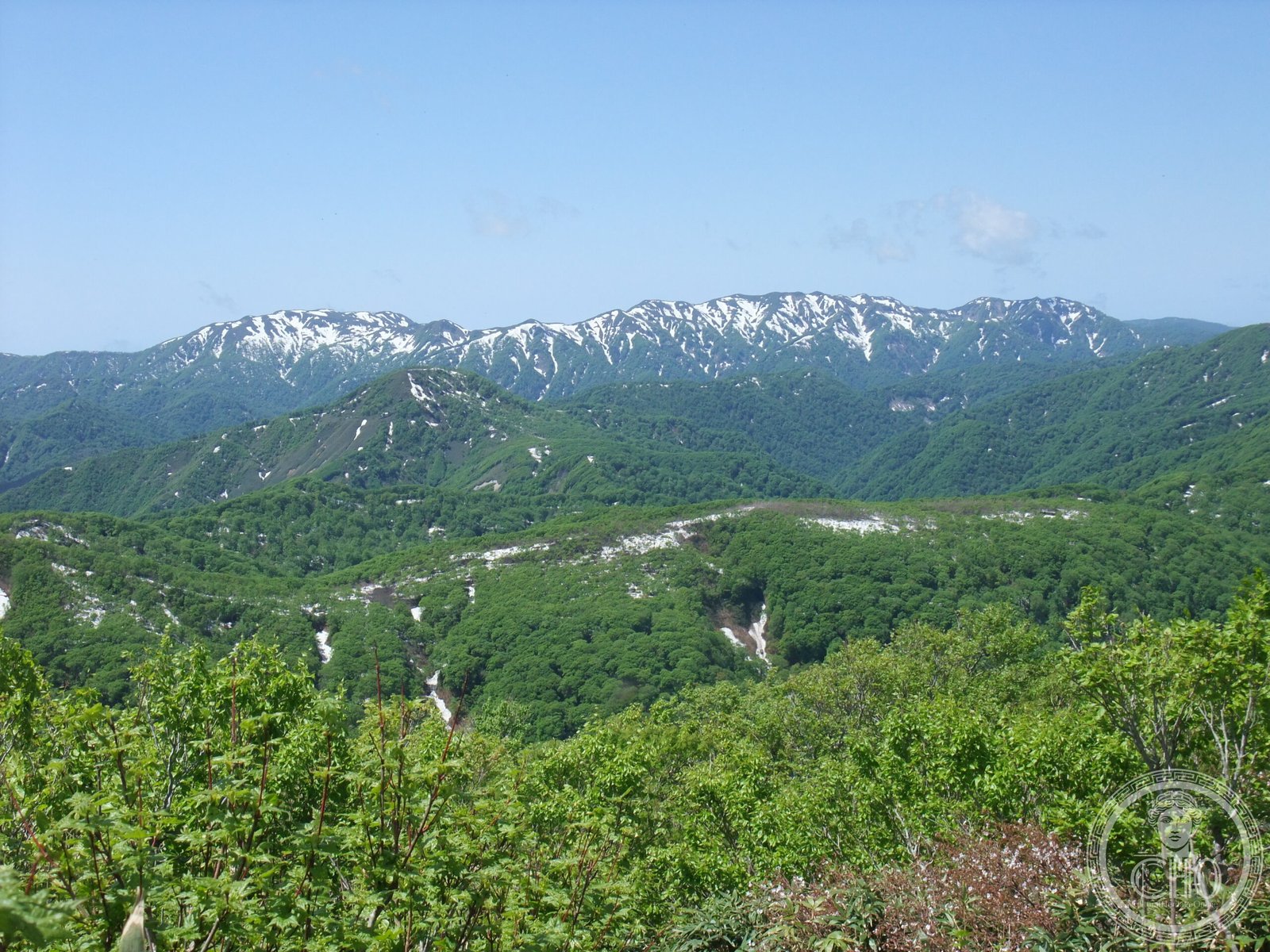 La foresta di faggi di Shirakami-Sanchi, Tohoku, Giappone