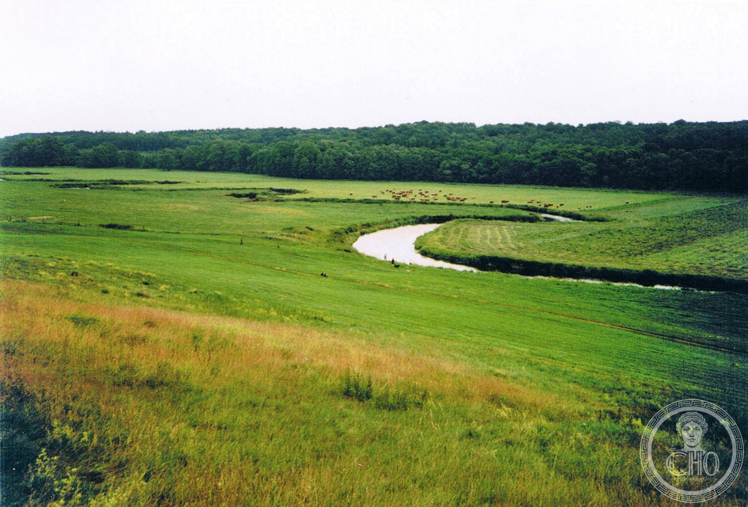 The Tollense river valley in Mecklenburg-Vorpommern, Germany, where Bronze Age battle remains were discovered