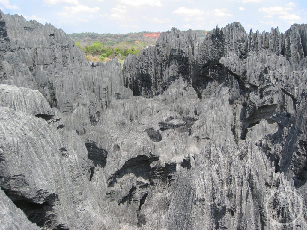 Tsingy de Bemaraha Madagascar limestone needles pinnacles karst UNESCO World Heritage